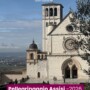 PELLEGRINAGGIO AD ASSISI: UN’ESPERIENZA DI COMUNITA’, FEDE E CONDIVISIONE